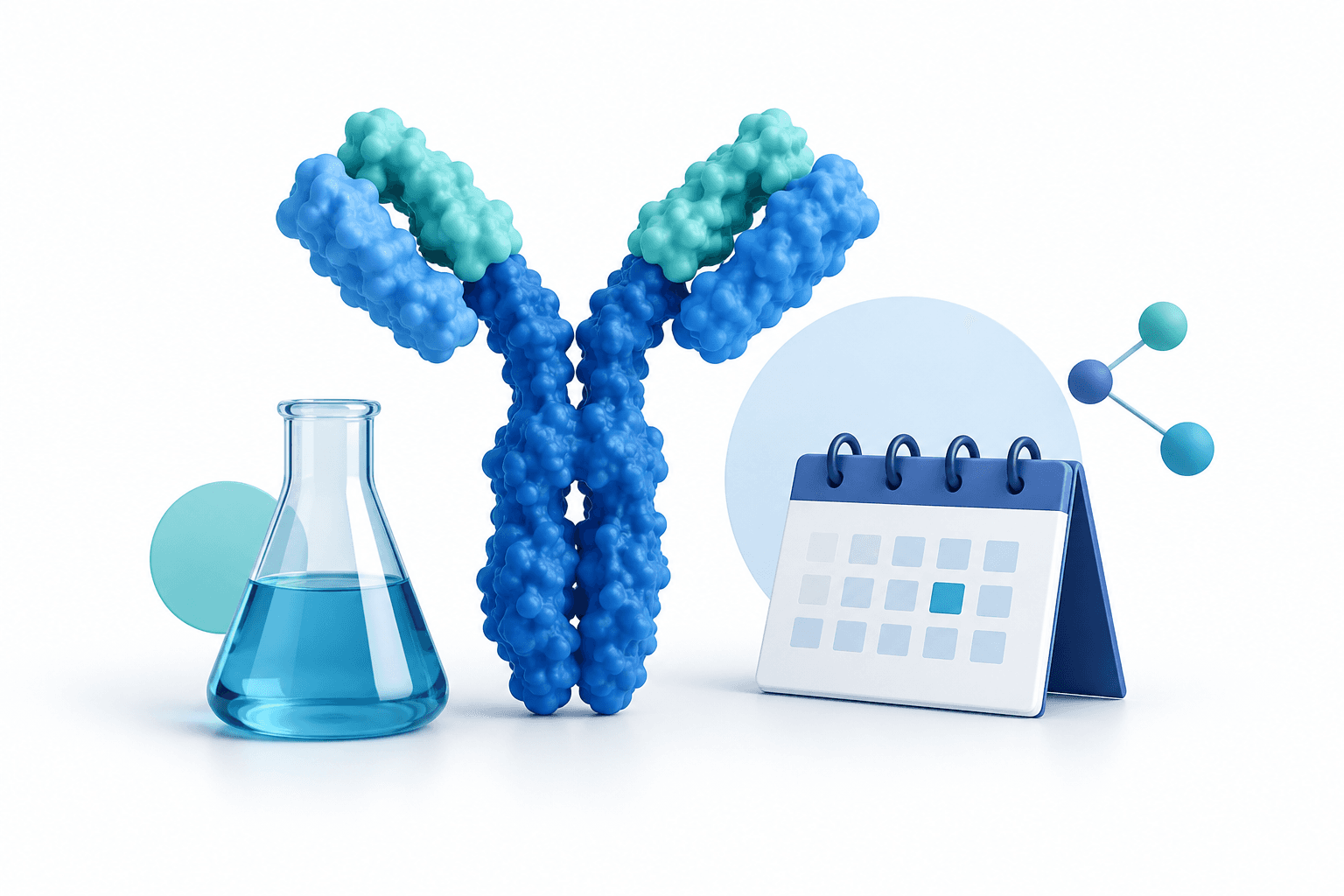 Concept illustration of antibody research and a calendar accompanying news about Xencor shares.